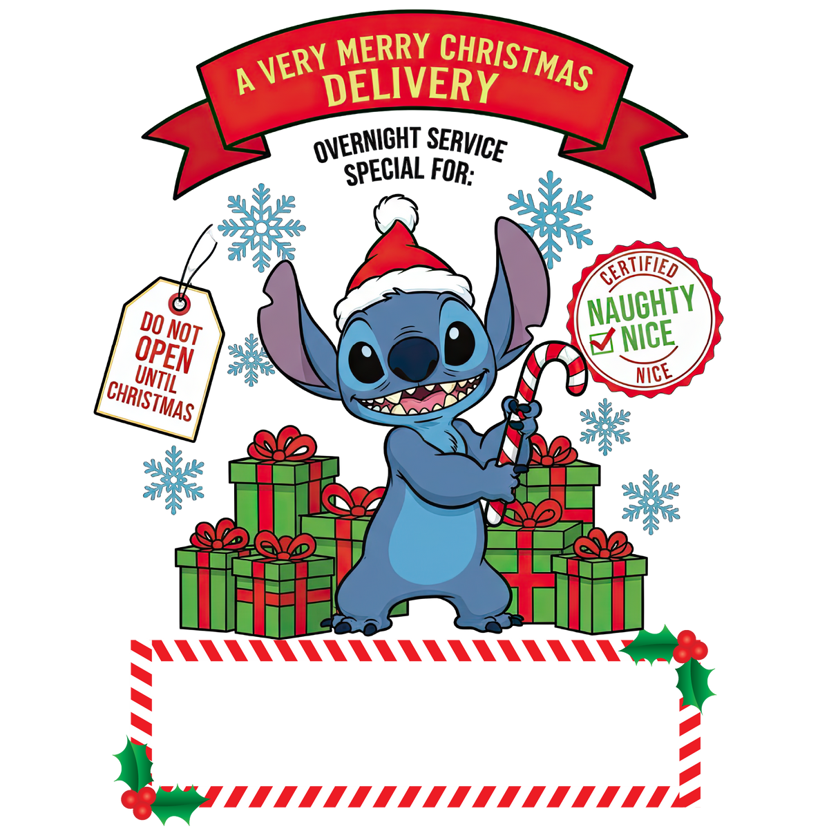 Personalized Santa Sacks | 11 Designs & 2 Sizes (20x27” & 24x31”) | Custom North Pole & Christmas Express Canvas Bags