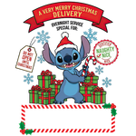 Personalized Santa Sacks | 11 Designs & 2 Sizes (20x27” & 24x31”) | Custom North Pole & Christmas Express Canvas Bags